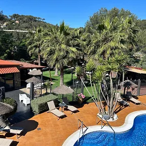 https://caribbean-home.catalonia-hotels.com